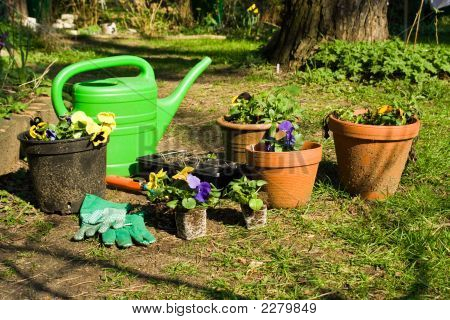 Giardinaggio