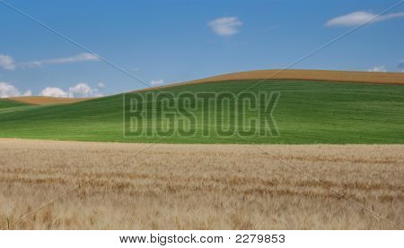 Tuscany