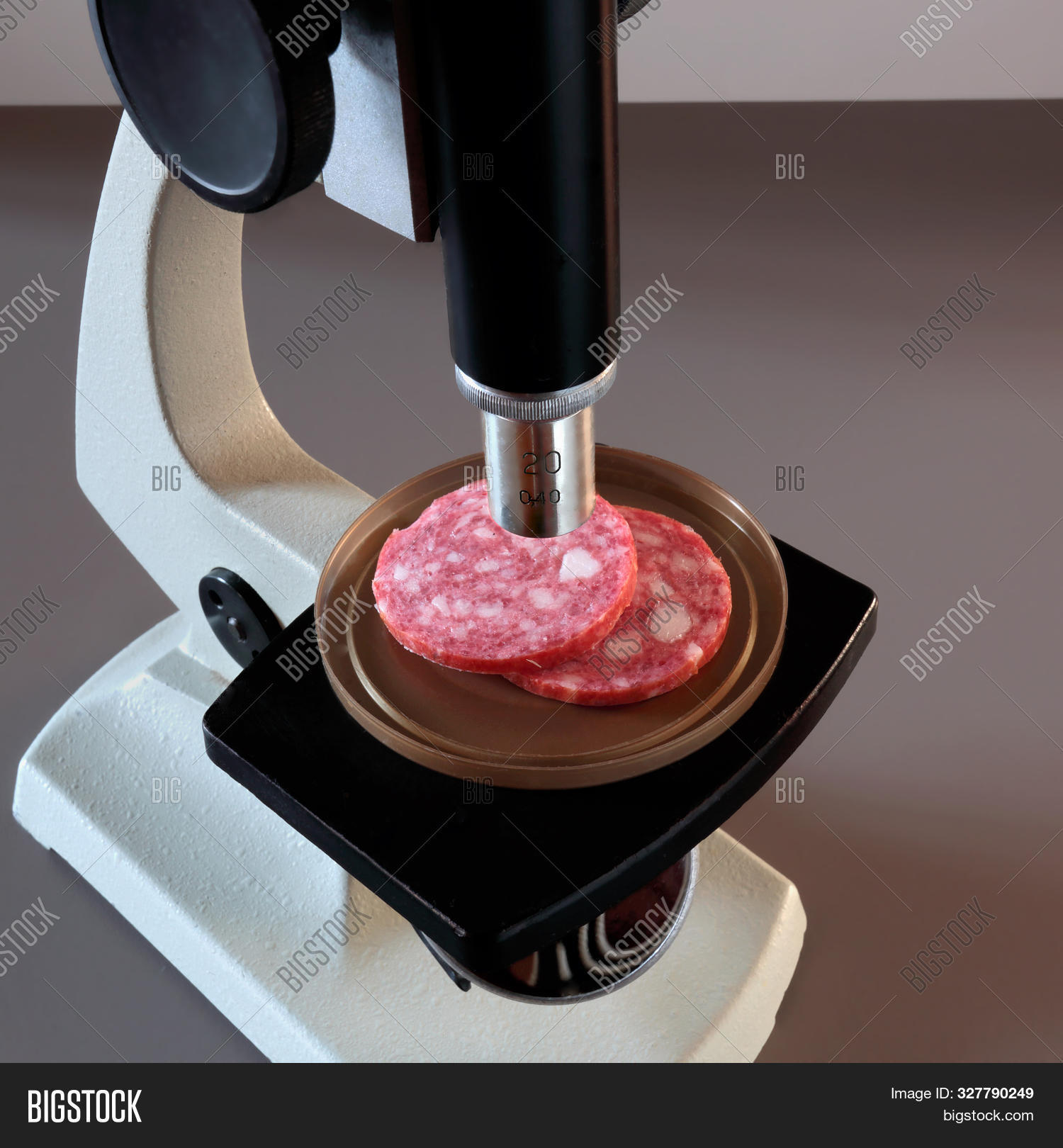 Pieces Sausage Under Image & Photo (Free Trial) Bigstock