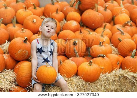 Little Boy Having Fun At Pumpkin Patch At Fall.