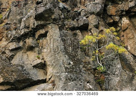 Autumn landscape in Pingvellir National Park, Iceland, Europe