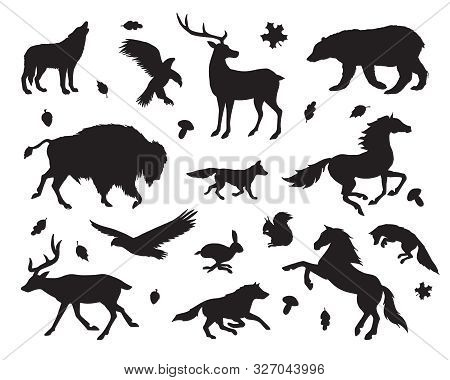Vector Black Set Bundle Of Wild American Animals Silhouette Isolated On White Background