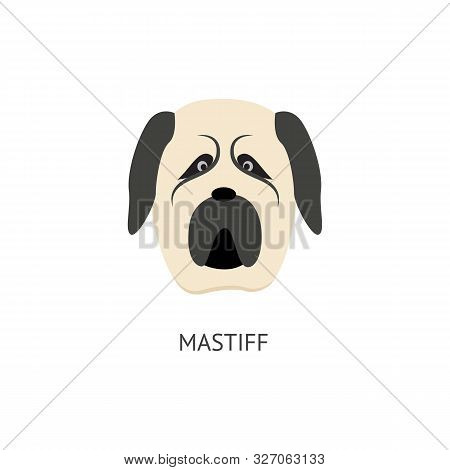 Cartoon Mastif Dog Head Isolated On White Background