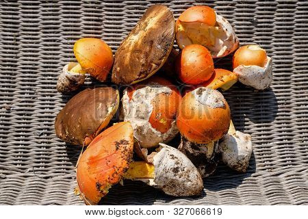Autumn Wild Mushrooms Composition.edulis Ova Fungi, Seasonal Ingredient, Italy