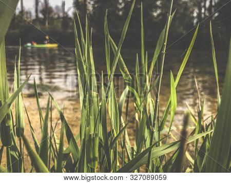 canoeing on a Loue river in eastern France, Europe