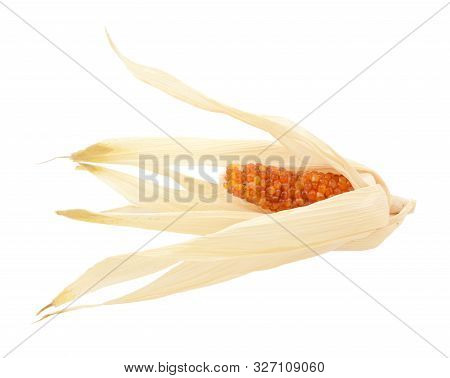 Dried Indian Corn With Red Niblets, Surrounded By Pale Yellow Husks On A White Background
