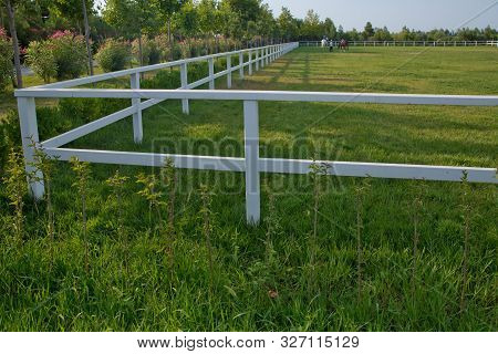 Green Pastures Of Horse Farms. Empty Racing Track Racecourse Without Horses And Riders . White Concr