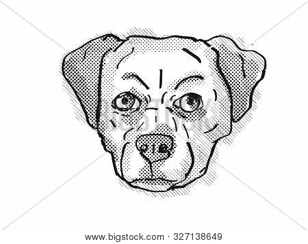 Retro Cartoon Style Drawing Of Head Of A Chug, Pug Chihuahua Pug Mix, Pughuahua, Or Pugwawa, A Domes