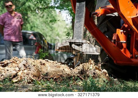 A Man Observes The Work Of A Sharp Rotating Drill For Crushing And Uprooting Old Stumps. Improvement