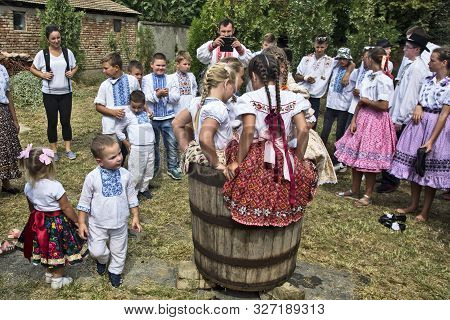 Aradac, Serbia, September 07, 2019. Bare Feet Girls Gauze Grapes. Traditional Slovak Celebration Of 