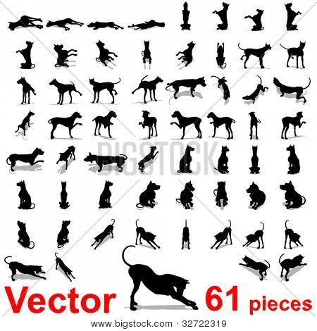 Vector concept of conceptuele set, groep of verzameling van zwarte hond silhouet geïsoleerd op witte backg