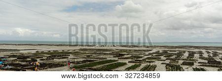 Travel For Oysters In Cancale Britanny Village On Sea View Tourism