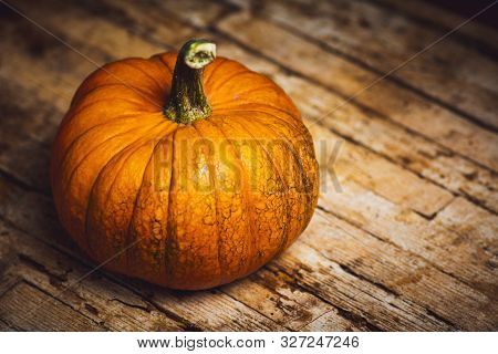 Punkins On A Rustic Background For A Thanksgiving Abstract