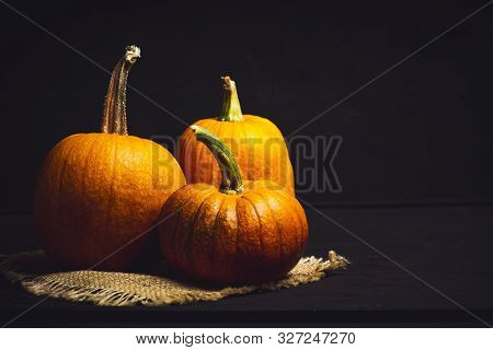 Punkins On A Rustic Background For A Thanksgiving Abstract