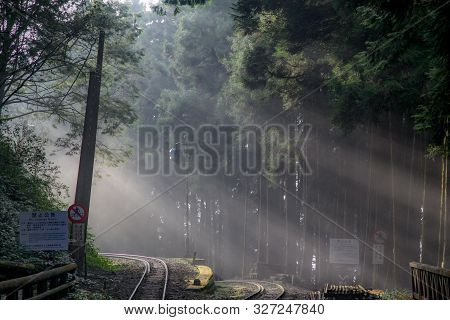 Alishan,taiwan-october 14,2018:sunlight In Forest On The Railway At Alishan Line,taiwan