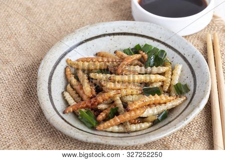 Food Insects: Bamboo Worm Or Bamboo Caterpillar Insect Fried Crispy For Eating As Food Items In Plat