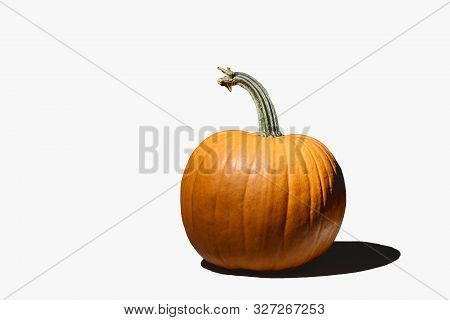 Big Beautiful Pumpkin On Isolated On White Background Illuminated By An Artificial Light Source