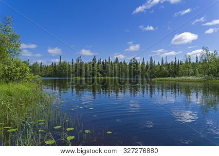 Reach On The Keret River. Karelia, Russia, End Of June, Sunny Day.