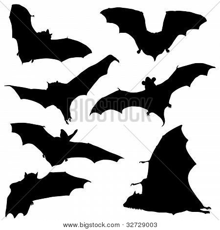 Bat fekete sziluettje illusztráció