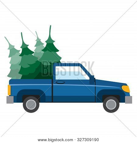 Pick-up Driven In The Trunk Of A Christmas Tree.