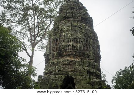 Та Prohm Is The Temple, It Rains In The Rainy Season.the Preserved Symbiosis Of Stone And Wood Allow