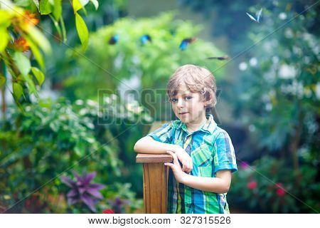 Little Blond Preschool Kid Boy Discovering Plants, Flowers And Butterflies At Botanic Garden