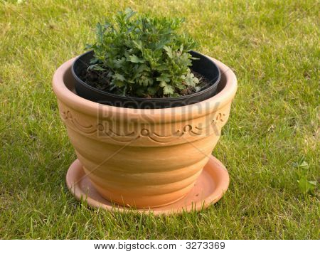 De bloempot