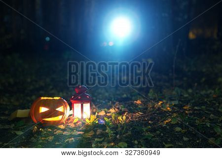Pumpkin Lights With Candles On The Ground In A Park In The Light Of The Moon. Jack Olantern