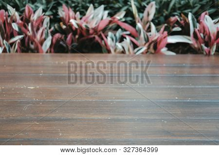 Red Green Plant Leaves & Wooden Floor