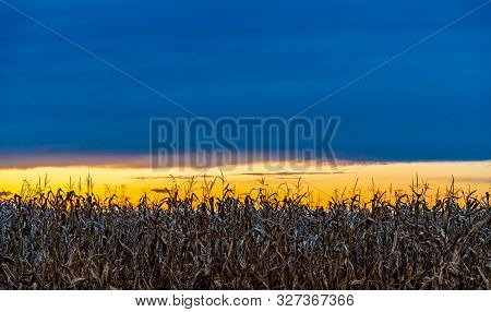 Photo of a dried out crop field at sundown. Beautiful blue and yellow clouds.