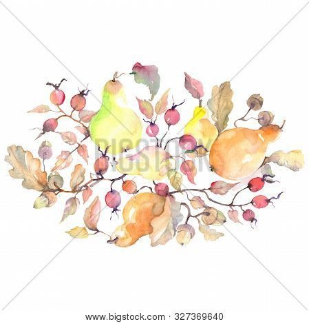 Branch Of Pears Autumn Bouquet Isolated. Watercolor Background Illustration Set. Isolated Bouquet Il
