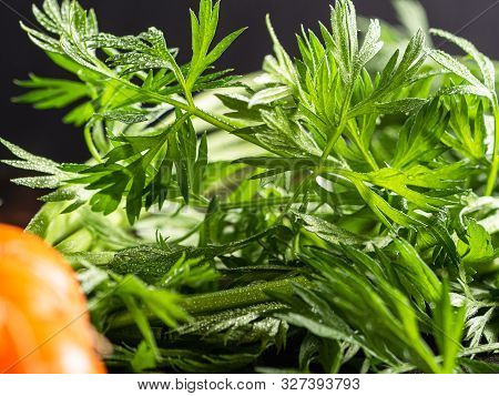 Fresh Raw Ugly Food Carrots With Curled Leaves