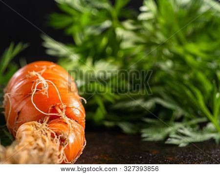 Fresh Raw Ugly Food Carrots With Curled Leaves