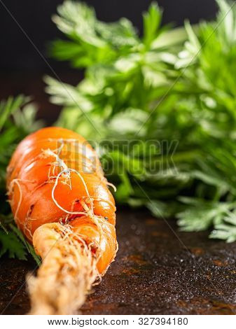 Fresh Raw Ugly Food Carrots With Curled Leaves