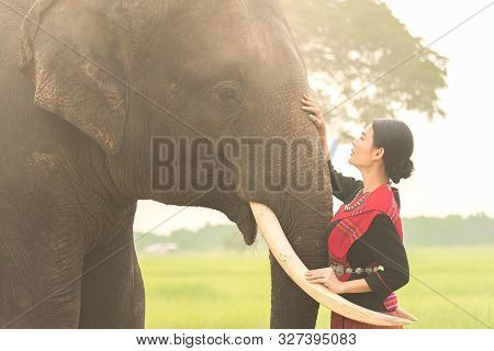 Young Women In Traditional Eastern Thailand Dress Touching And Looking Into Elephant Eyes.