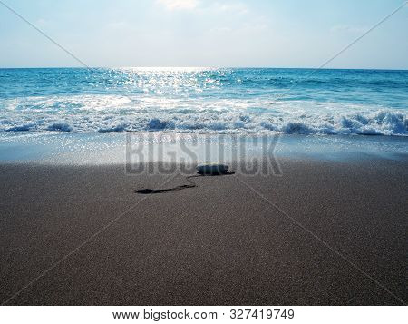 Signed Sea Green Turtle Nest On Lara Bay Turtle Beach , Akamas, Cyprus