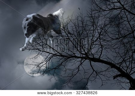 Image Of A Wolf Jumping From The Sky At The Moony Night