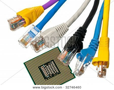 แมว 5 สายหลายสีกับ Cpu