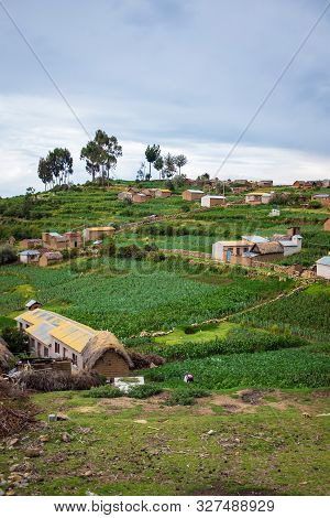 Picturesque Challa Village With Fava Bean And Potato Crops In Sun Island (isla Del Sol), La Paz, Bol
