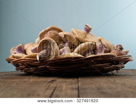 Lepista Saeva Mushrooms In A Wicker Dish On The Table Side View Close-up