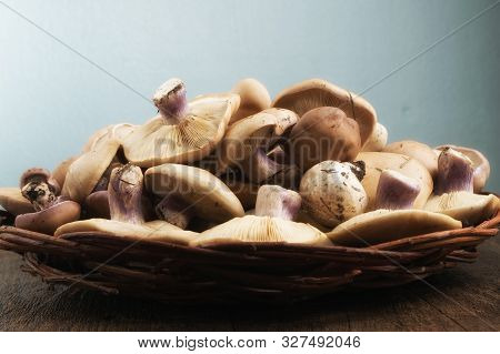 Lepista Saeva Mushrooms In A Wicker Dish On The Table Side View Close-up