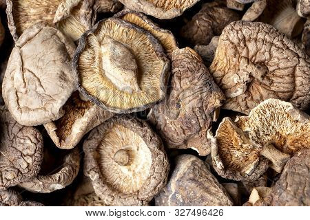 Shiitake Mushrooms Or Lentinus Edodes  Foods That Are Healthy,  Cultivated In Japan And China.