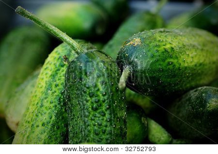 Cucmbers