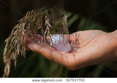Female Hand Holding Yoni Egg Made From Transparent Violet Amethyst Stone On Spikelets Background. Fe