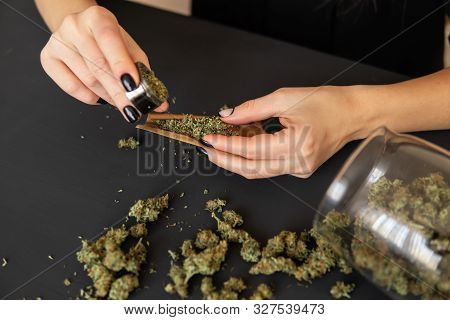 Close Up Of Marijuana Blunt With Grinder. Woman Preparing And Rolling Marijuana Cannabis Joint. Mari