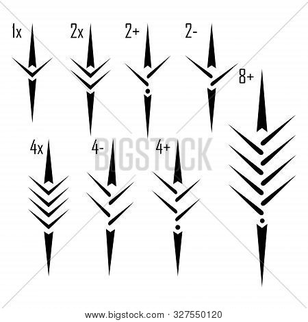 Rowing Boat Icon Set Isolated Whit Names