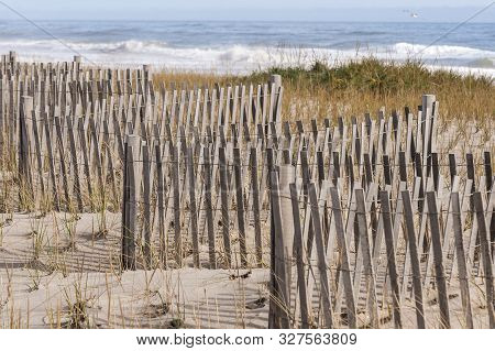 Nauset Beach Surf Breaking Beyond Zigzagging Erosion Fence On Sand Dune