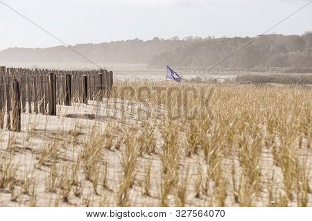 Shark Warning Flag Waving Over Nauset Beach Dune Protected By American Beachgrass And Erosion Fence