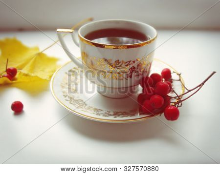 Autumn Tea. Cup Of Tea With Rowanberry.