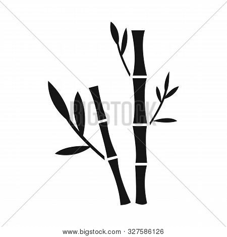 Vector Illustration Of Bamboo And Tree Sign. Set Of Bamboo And Green Vector Icon For Stock.